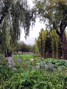 KUNMING - Parc Daguan - 64